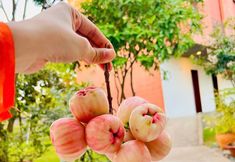 Khác 6 Huynh Thao Hotel