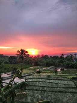 Panorama Beach Resort, 743.178 VND