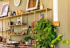 로비 6 Trai Hoa Vang Homestay Phu Yen