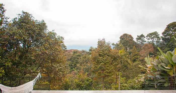 Swimming Pool Villa Jenis - Botanical Jungle View