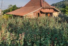 Exterior 5 Sekar Gambir Homestay