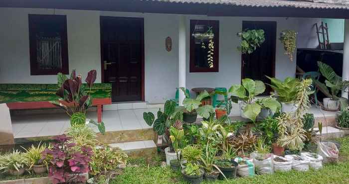 Bên ngoài Homestay Wijaya Mulya