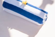 Accommodation Services The Compass Rose Ubud