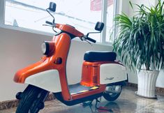 其他 4 Anh Phuong Hotel Dalat