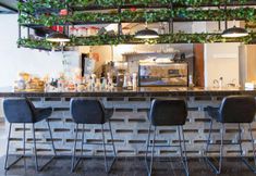 大堂 6 Capital O 90406 Mirani Hotel