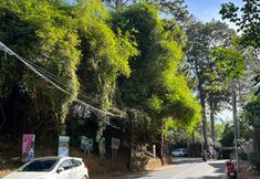 주변 전망 및 관광 명소 4 Lien's 2 Hotel Dalat