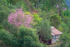 その他 Moc Nhien Hotel