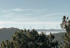 外部的 7 The Gate Boutique Dalat