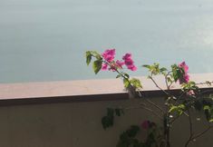 其他 2 Thai Bao Hotel