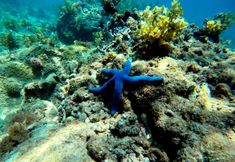 近くの景色と観光スポット 3 HAKU Boutique Hotel