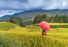 周邊景點與觀光 6 The Upper House Sapa