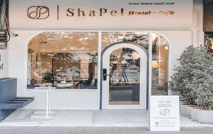 Shapel Hostel and Cafe