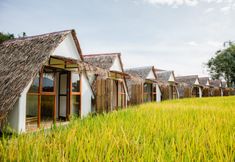 Exterior 6 Bamboo Shack