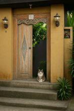 大堂 4 Dede Cottage Ubud