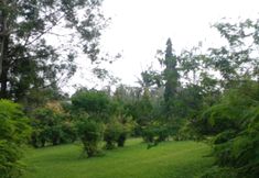 ห้องออกกำลังกาย 7 Omah Kloewoeng Kaliurang