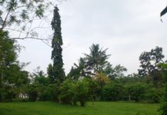 ห้องออกกำลังกาย 6 Omah Kloewoeng Kaliurang