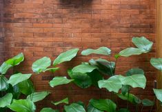 Lobby 2 Smedi Coliving & Coffee