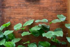 Lobby Smedi Coliving & Coffee