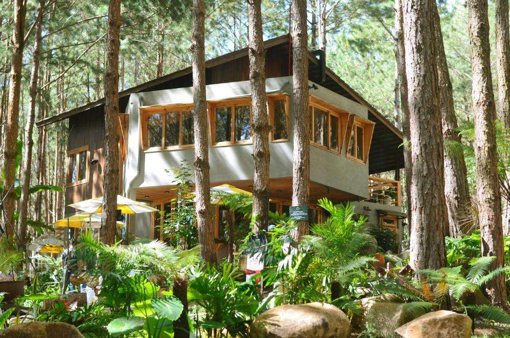 Mơ Stay Forest Resort - Khách sạn 4 sao Đà Lạt gần trung tâm