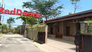 RedDoorz Syariah near Exit Tol Pemalang Comal 2, THB 282.14