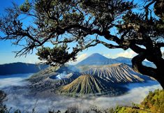 Others 3 The Southern Hotel Surabaya