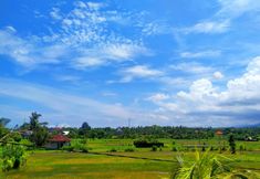 Nearby View and Attractions 3 Puri Lovina