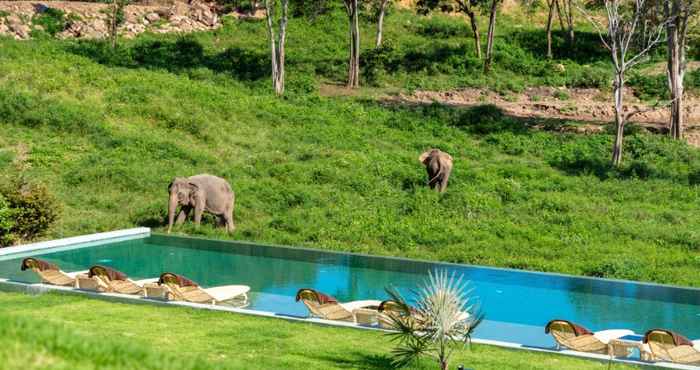 สระว่ายน้ำ WILD COTTAGES ELEPHANT SANCTUARY RESORT