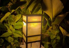 外部的 4 Ijen Estate Resort And Villa