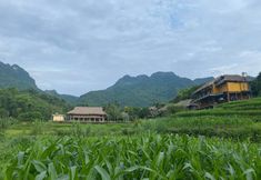 Bên ngoài 4 Halo Retreat