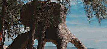 外観 5 Hola Beach Eco Glamping