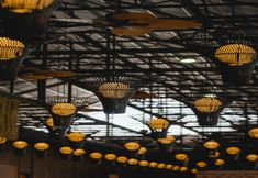 Restaurant 3 Monkeys Canopy