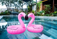 Swimming Pool 6 Eco House Villa