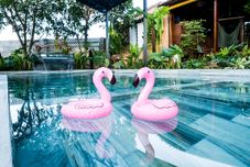 Swimming Pool Eco House Villa