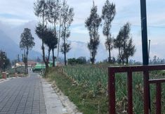 Others 7 Bromo Semesta Guesthouse