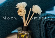 Lainnya 2 Amelia S Homestay