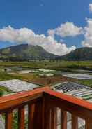 VIEW_ATTRACTIONS Teras Sawah Guest House Syariah