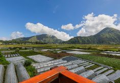 Điểm tham quan lân cận 5 Teras Sawah Guest House Syariah