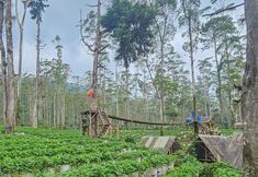 Exterior 3 Cigadog Residence RedPartner