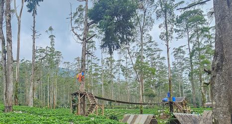 Exterior 2 Cigadog Residence RedPartner