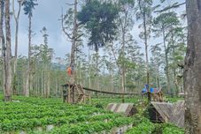 Exterior Cigadog Residence RedPartner