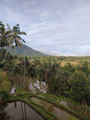 Gunza Bed and Breakfast, Rp 538.720