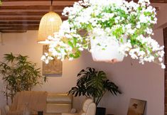 大堂 5 Summer Stay - Da Lat