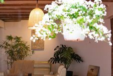 大堂 Summer Stay - Da Lat