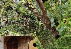 其他 4 Summer Stay - Da Lat