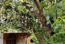 其他 Summer Stay - Da Lat