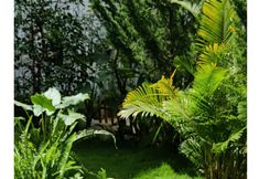 公共空间 2 Summer Stay - Da Lat