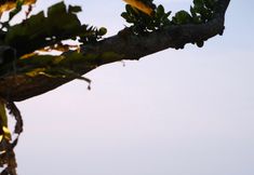 Nearby View and Attractions 2 Lynn Resort Carita