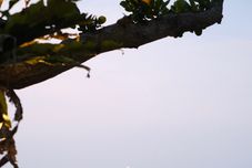 Nearby View and Attractions Lynn Resort Carita