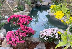 기타 4 MyGarden Villa Binh Chau Hotspring
