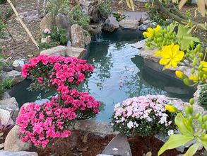 기타 4 MyGarden Villa Binh Chau Hotspring